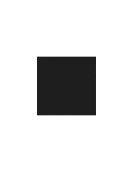Carpio Negro Mate 20x20 - Ribesalbes