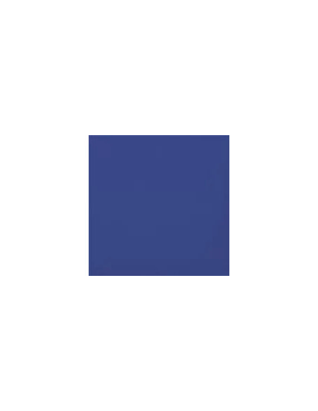 Carpio Azul Manises Mate 20x20 - Ribesalbes