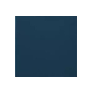 Carpio Azul F Mate 20x20 - Ribesalbes