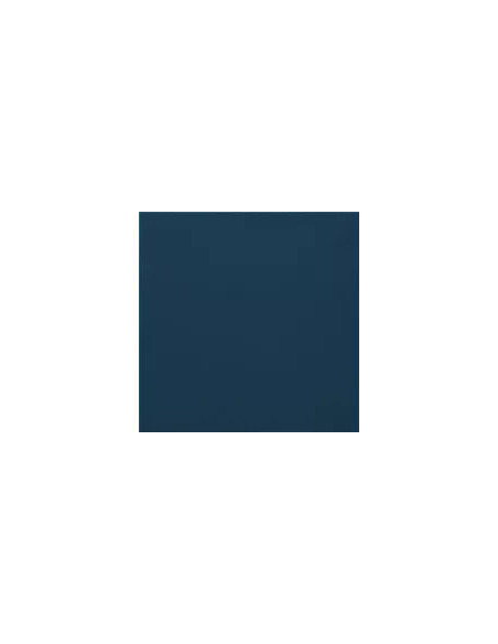 Carpio Azul F Mate 20x20 - Ribesalbes