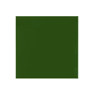 Carpio Verde Botella Mate 20x20 - Ribesalbes