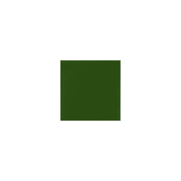 Carpio Verde Botella Mate 20x20 - Ribesalbes
