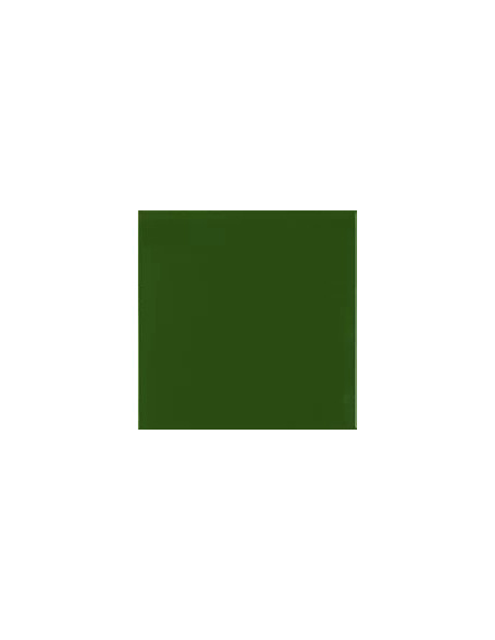 Carpio Verde Botella Mate 20x20 - Ribesalbes