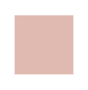 Carpio Rosa F Mate 20x20 - Ribesalbes