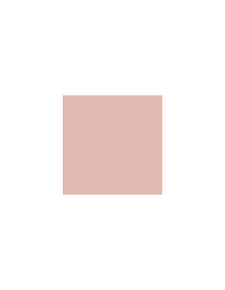 Carpio Rosa F Mate 20x20 - Ribesalbes