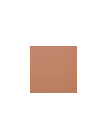Carpio Cotto Valencia Mate 20x20 - Ribesalbes